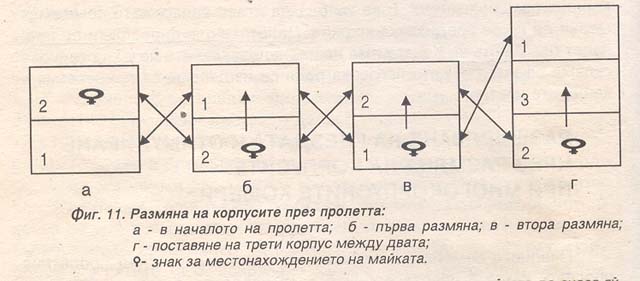 Размяна на корпусите при многокорпусните кошери