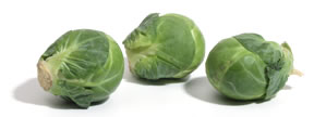 brusselssprouts-1